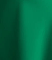 Antonio Melani Bella A-Line Coordinating Satin Maxi Skirt