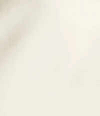 Antonio Melani Blakely Coordinating A-Line Satin Skirt