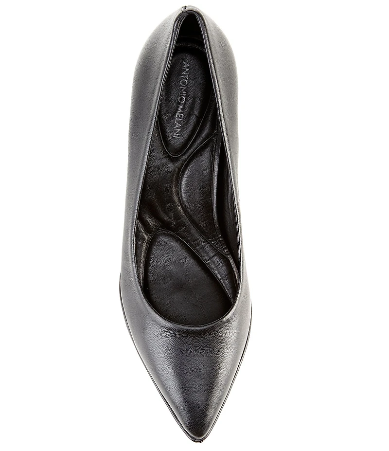 Antonio Melani Ellen Leather Pointed Toe Pumps