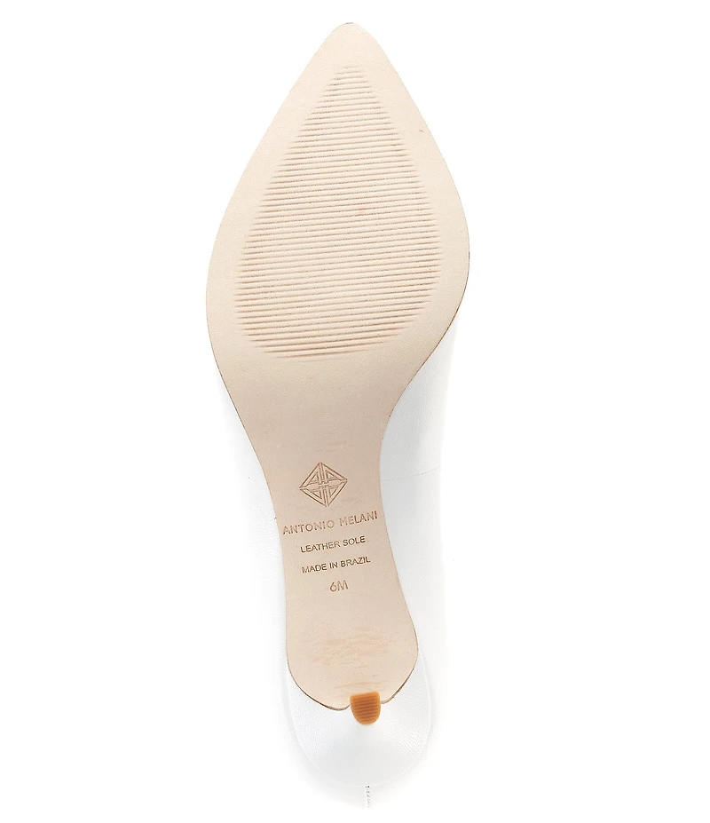 Antonio Melani Ellen Leather Pointed Toe Pumps