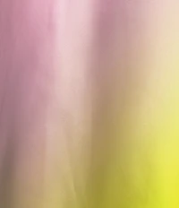 Antonio Melani Fallon Ombre Round Neck Short Sleeve Dress