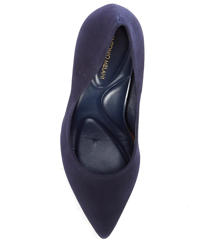 Antonio Melani Kara Kid Suede Leather Classic Pointed Toe Pumps