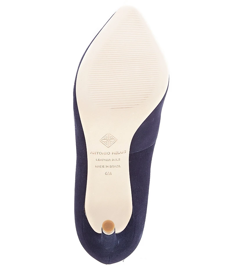 Antonio Melani Kara Kid Suede Leather Classic Pointed Toe Pumps