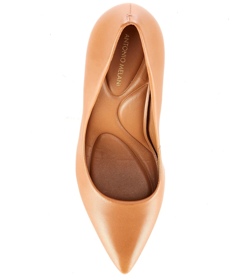 Antonio Melani Kara Leather Classic Pointed Toe Pumps