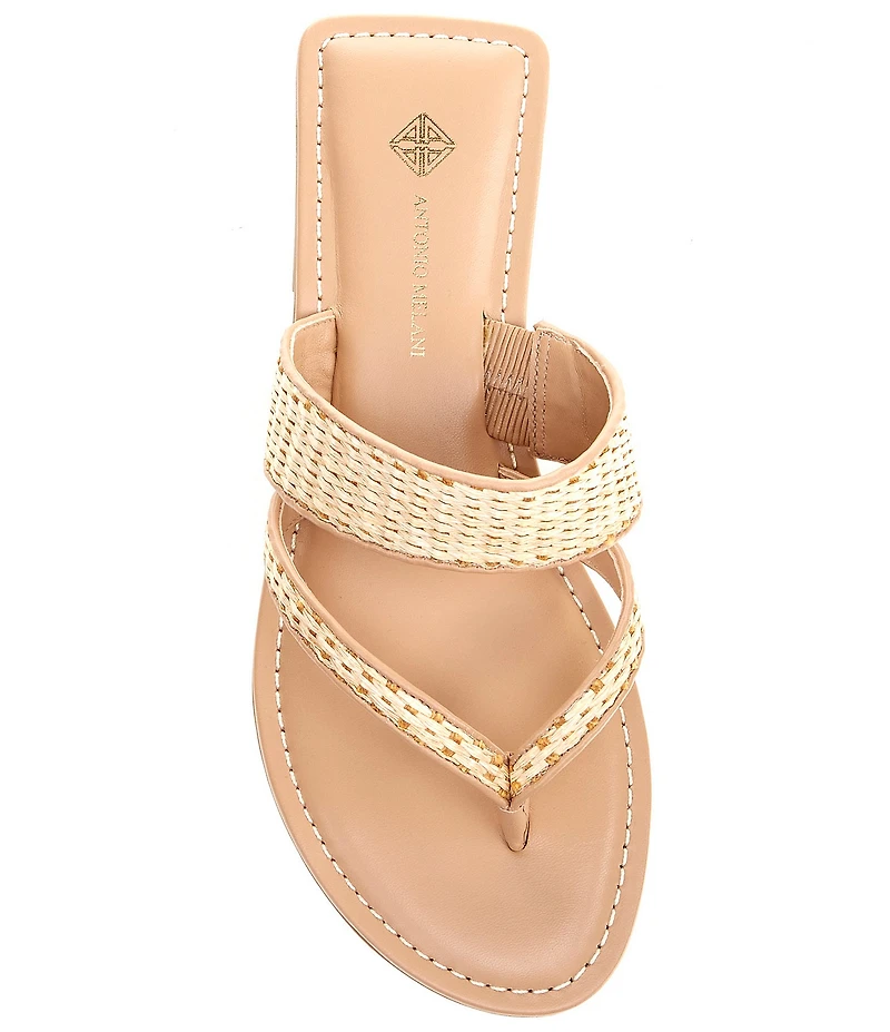 Antonio Melani Kora Raffia Thong Sandals