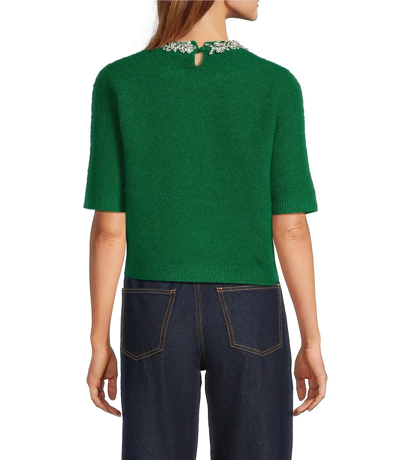 Antonio Melani Kourtney Wool Blend Jeweled Crew Neckline Short Sleeve Sweater