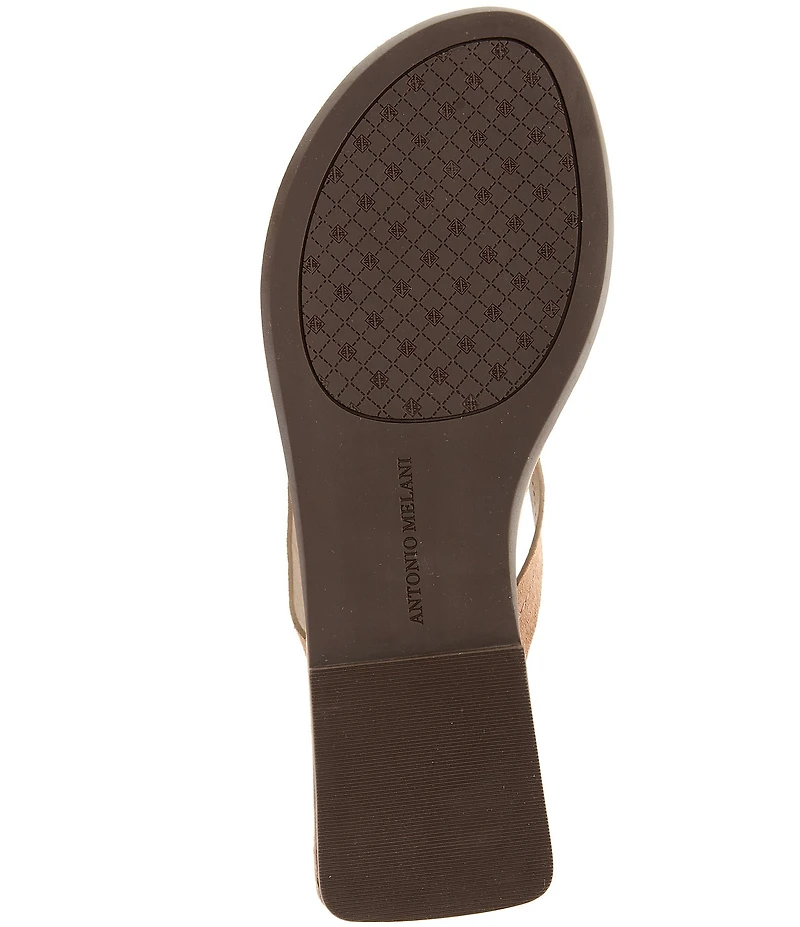 Antonio Melani Kylan Suede Ornamented Thong Sandals