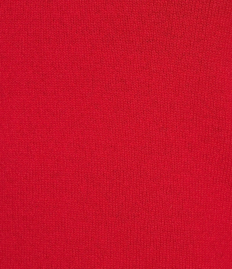 Antonio Melani Luxury Collection Cameron Cashmere Crew Neck Long Sleeve Knit Sweater