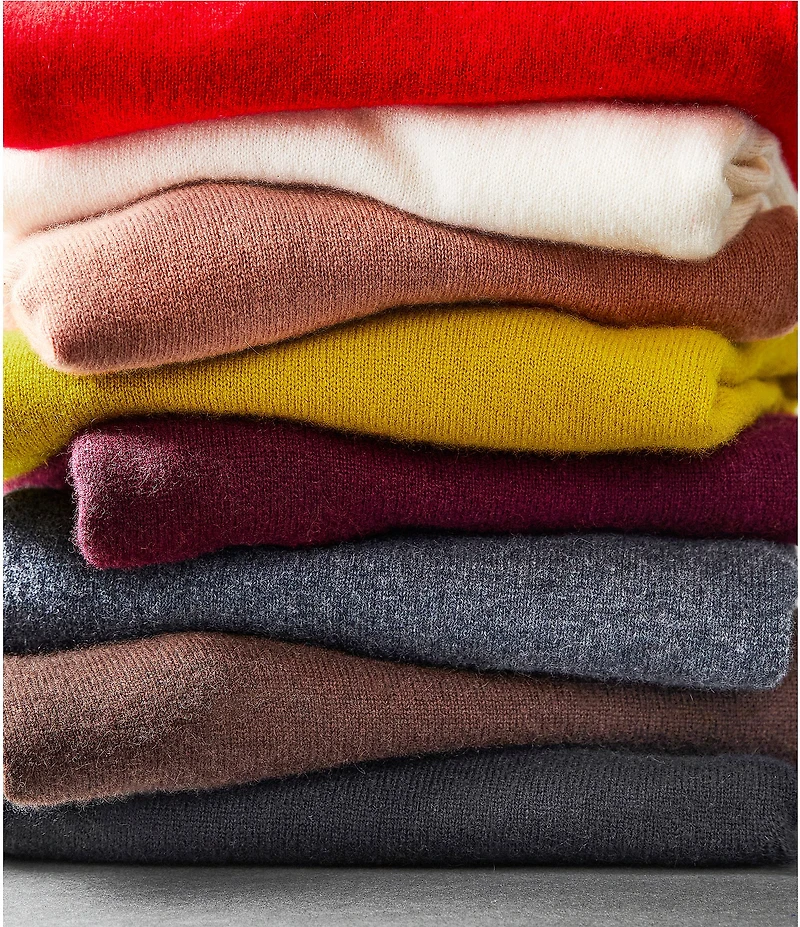 Antonio Melani Luxury Collection Cameron Cashmere Crew Neck Long Sleeve Knit Sweater