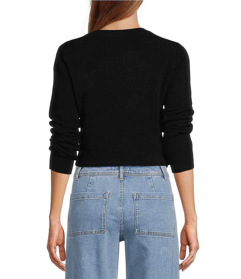 Antonio Melani Luxury Collection Cameron Cashmere Crew Neck Long Sleeve Knit Sweater