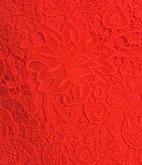 Antonio Melani Nancy Lace Square Neck Sleeveless Dress