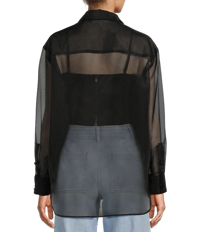 Antonio Melani Priscilla Organza Sheer Long Sleeve Button Front Blouse