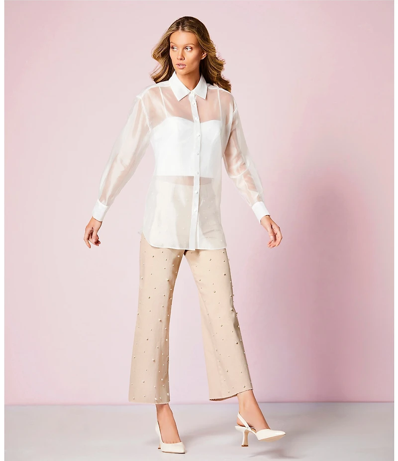Antonio Melani Priscilla Organza Sheer Long Sleeve Button Front Blouse
