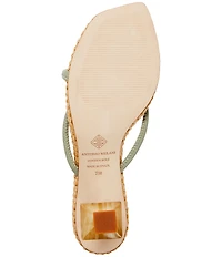 Antonio Melani Remy Leather Knotted Raffia Kitten Heel Dress Slide Sandals