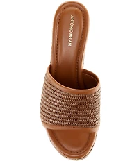 Antonio Melani Ria Raffia Platform Slide Sandals