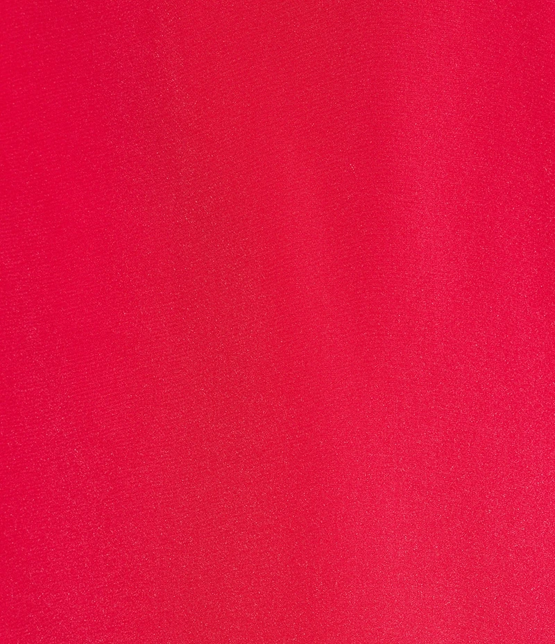 Antonio Melani Uma Sleeveless Tie Back Turtle Neckline Organza Maxi Dress