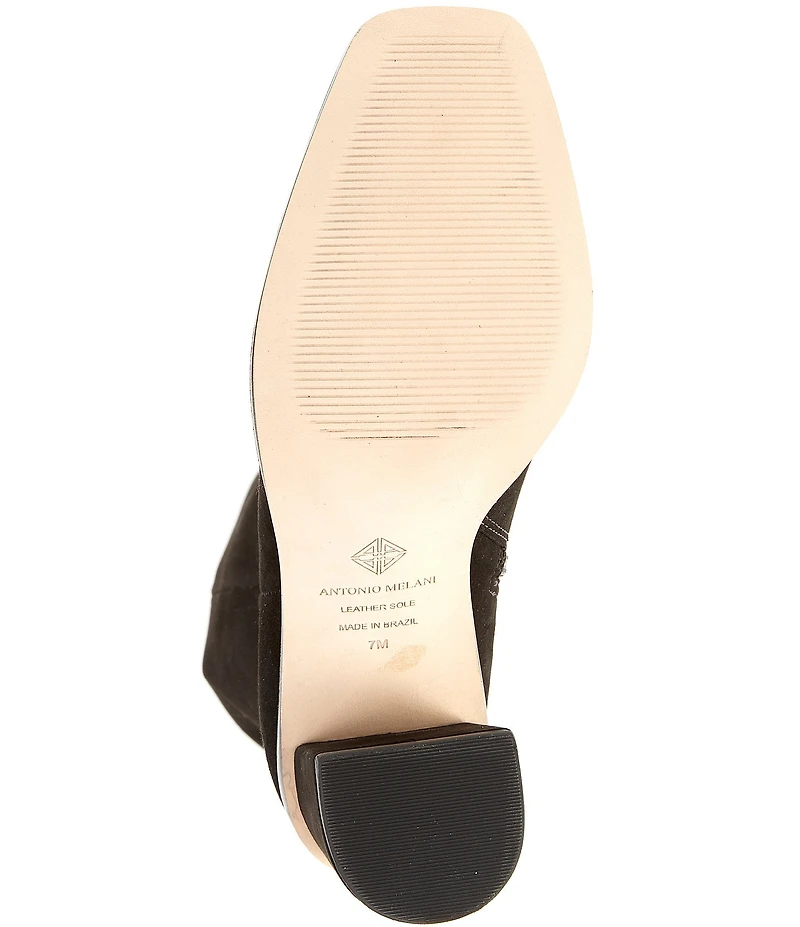 Antonio Melani Valerie Suede Tall Shaft Dress Boots
