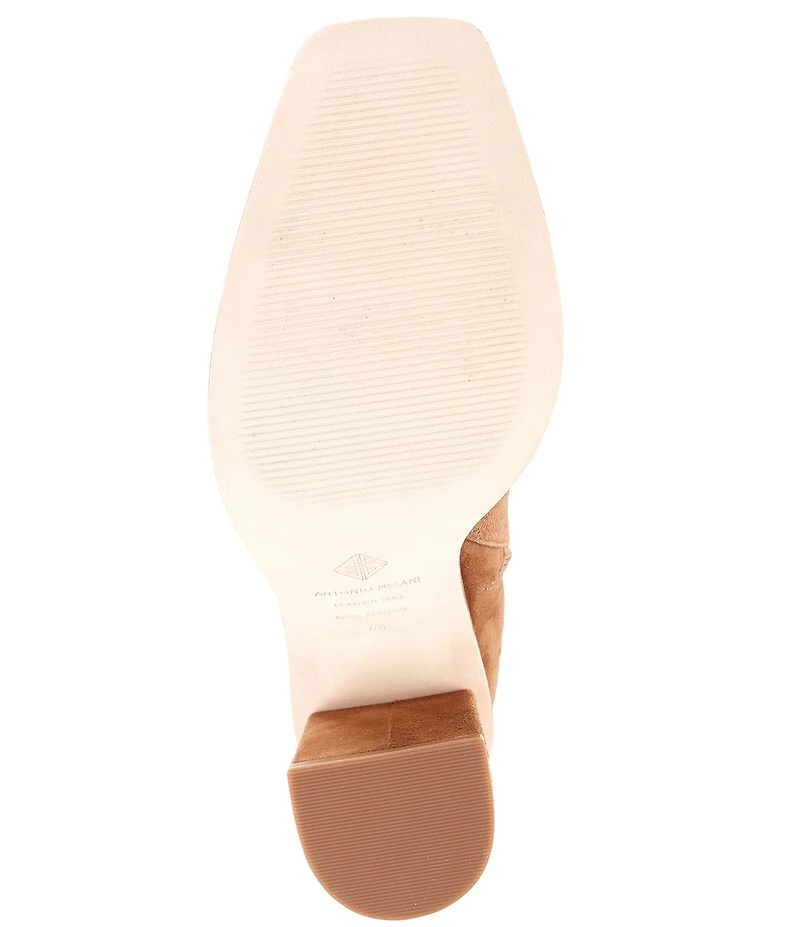 Antonio Melani Valerie Suede Tall Shaft Dress Boots