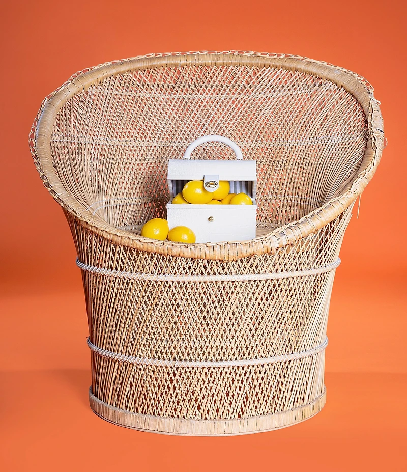 Antonio Melani x Amanda Jones Vaughan Brigitte Box Crocodile Embossed Top Handle Satchel Bag