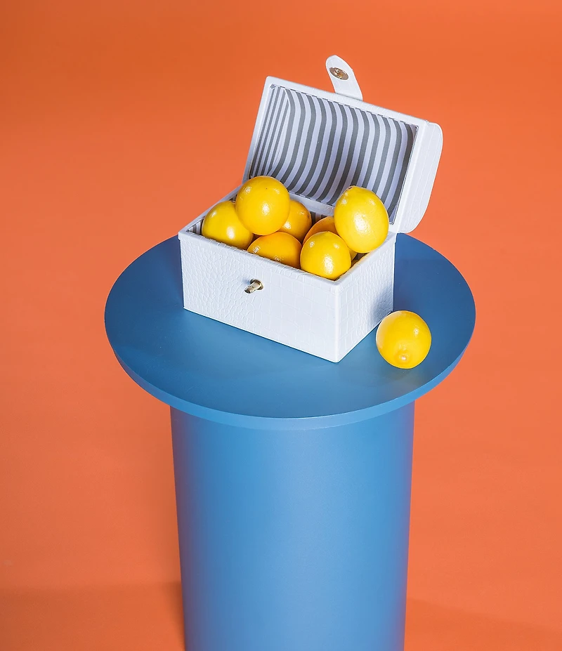 Antonio Melani x Amanda Jones Vaughan Brigitte Box Crocodile Embossed Top Handle Satchel Bag