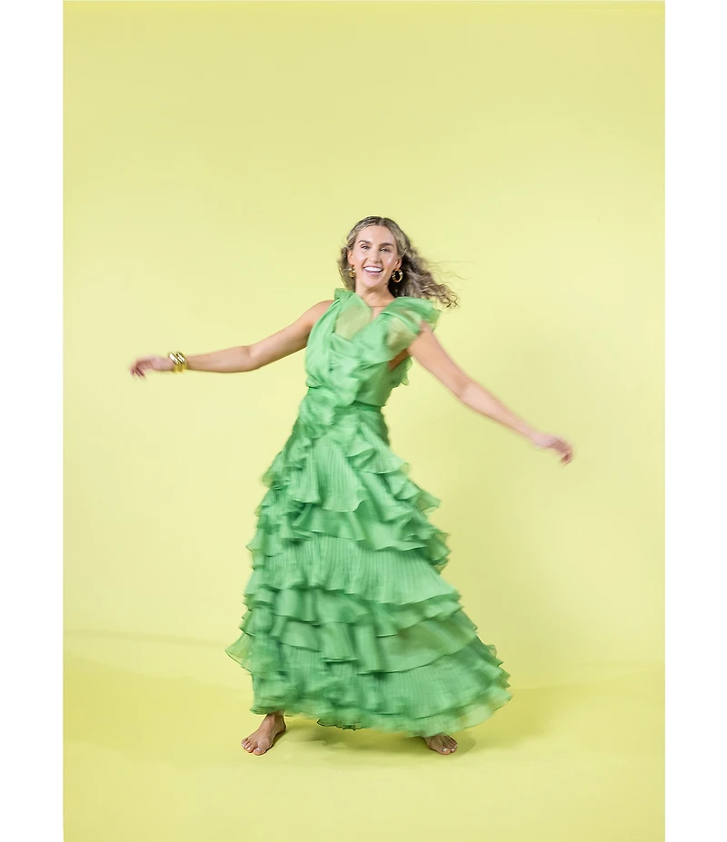 Antonio Melani x Amanda Jones Vaughan Keri Organza V-Neck Sleeveless A-Line Dress