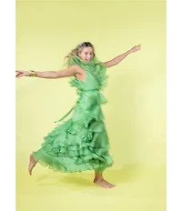 Antonio Melani x Amanda Jones Vaughan Keri Organza V-Neck Sleeveless A-Line Dress