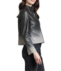 APNY Lamb Leather Ombre Banded Collar Long Sleeve Jacket