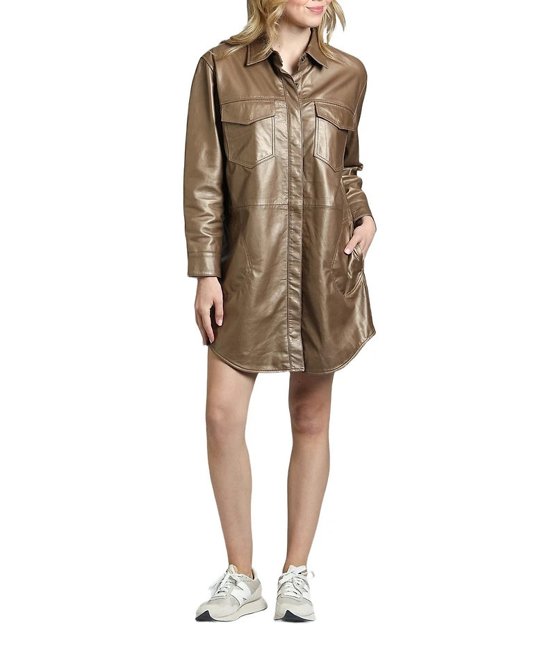 APNY Lamb Leather Spread Collar Long Sleeve Shirt Dress