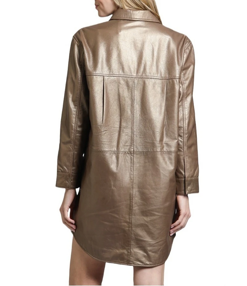 APNY Lamb Leather Spread Collar Long Sleeve Shirt Dress