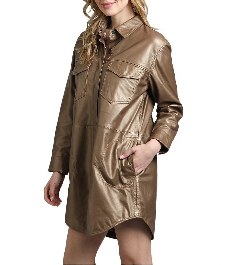 APNY Lamb Leather Spread Collar Long Sleeve Shirt Dress