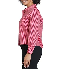 APNY Woven Chevron Stripe Point Collar Long Sleeve Crop Length Shirt