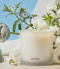 APOTHEKE Canvas 3-Wick Scented Candle, 26 oz.