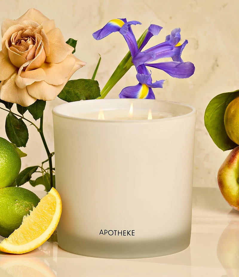 APOTHEKE Canvas 3-Wick Scented Candle, 26 oz.