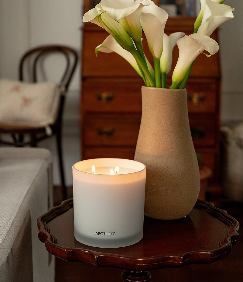 APOTHEKE Canvas 3-Wick Scented Candle, 26 oz.