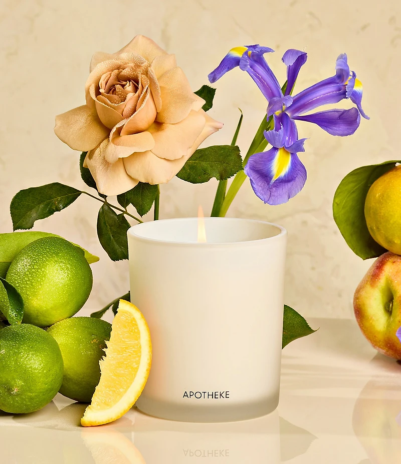APOTHEKE Canvas Classic Scented Candle, 10.5 oz.