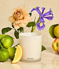 APOTHEKE Canvas Classic Scented Candle, 10.5 oz.
