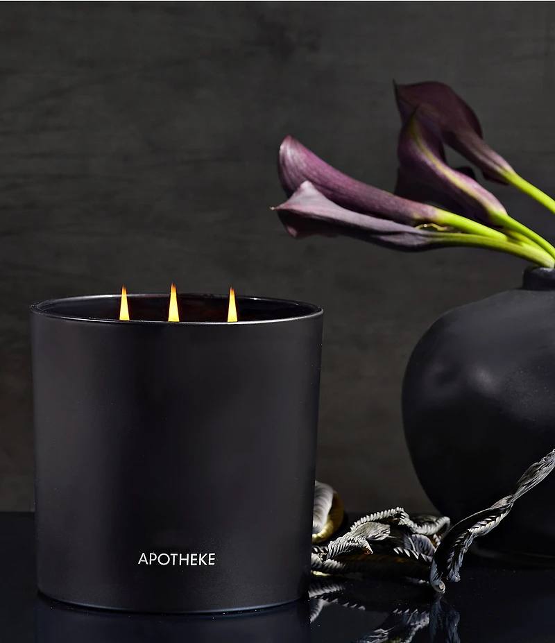 APOTHEKE Charcoal 3-Wick Scented Candle, 26 oz.