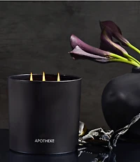 APOTHEKE Charcoal 3-Wick Scented Candle, 26 oz.