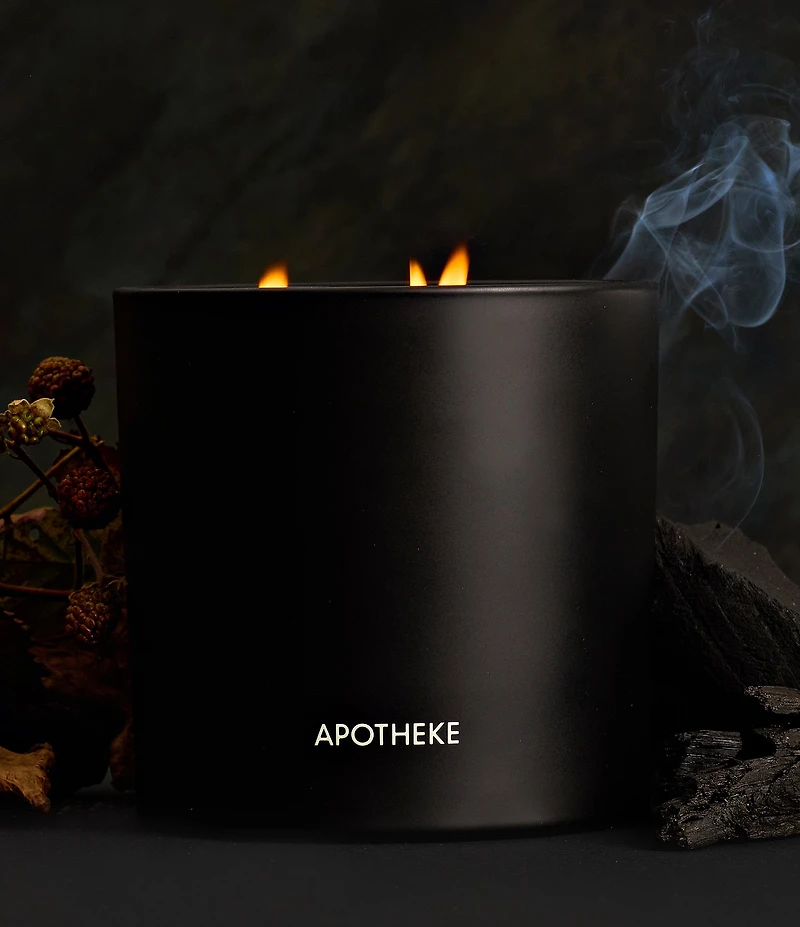 APOTHEKE Charcoal 3-Wick Scented Candle, 26 oz.