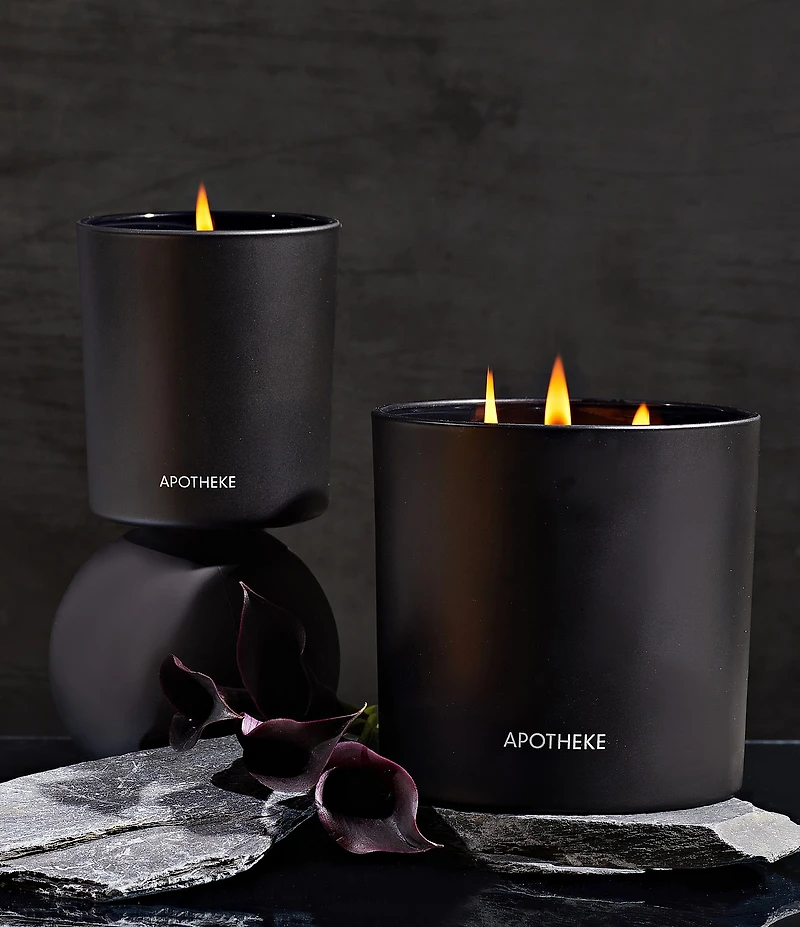 APOTHEKE Charcoal 3-Wick Scented Candle, 26 oz.