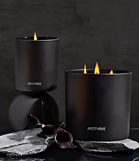 APOTHEKE Charcoal 3-Wick Scented Candle, 26 oz.