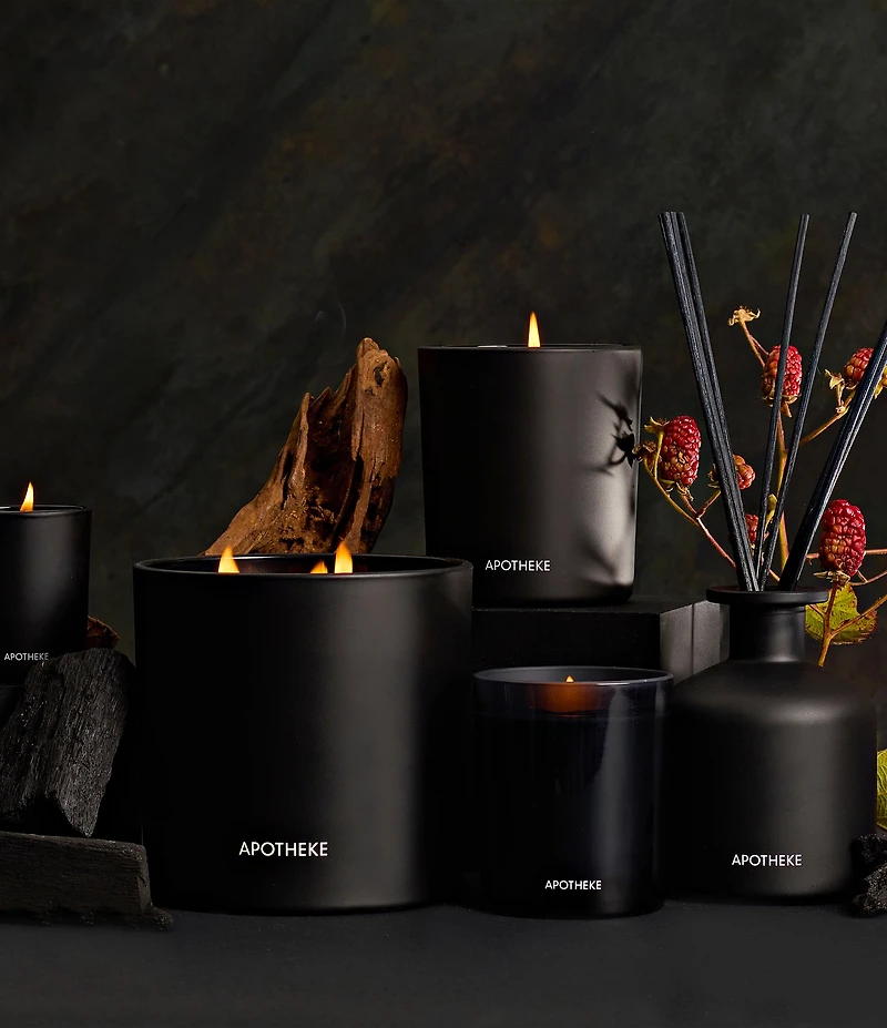 APOTHEKE Charcoal 3-Wick Scented Candle, 26 oz.