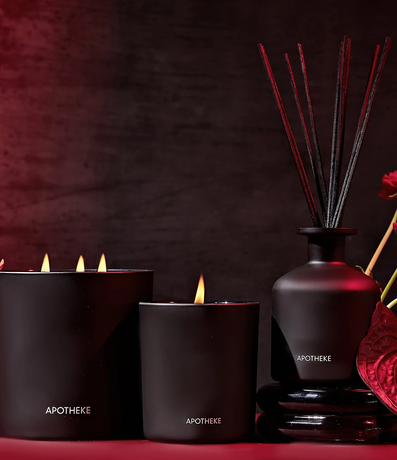 APOTHEKE Charcoal Rouge Reed Diffuser, 6.7 oz.