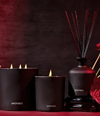 APOTHEKE Charcoal Rouge Reed Diffuser, 6.7 oz.
