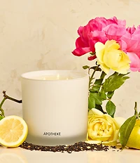 APOTHEKE Earl Grey Bitters 3-Wick Scented Candle, 26 oz.