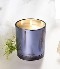 APOTHEKE Festive Collection Cardamom Chestnut 1-Wick Candle, 10.5 oz