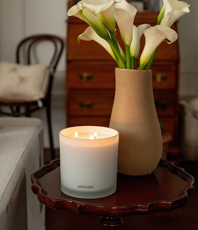 APOTHEKE Fig and Olive 3-Wick Scented Candle, 26 oz.