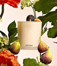 APOTHEKE Fig and Olive Classic Scented Candle, 10.5 oz.
