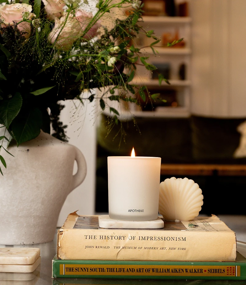 APOTHEKE Fig and Olive Classic Scented Candle, 10.5 oz.