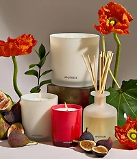 APOTHEKE Fig and Olive Reed Diffuser, 6.7 fl. oz.